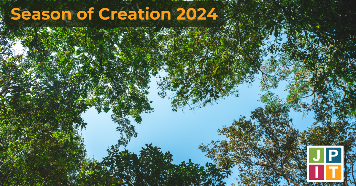 Season of Creation 2024, image of trees