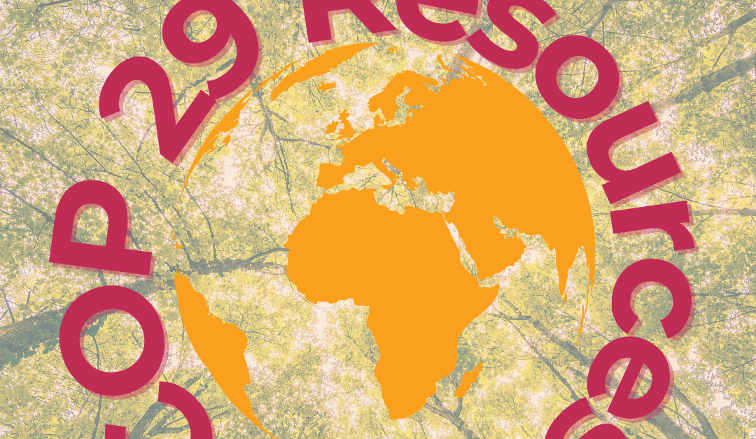 COP29 Resources - text surrounds a graphic representation of the world