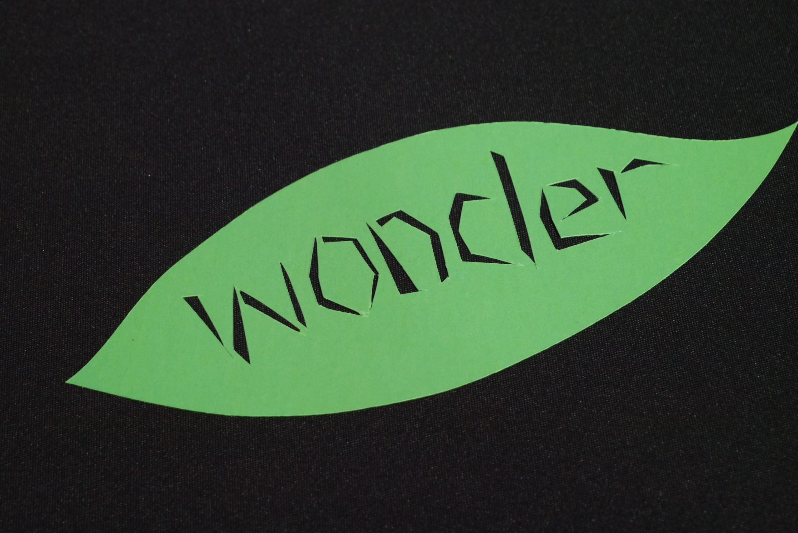 Wonder at ForGood25 (Photo by Steve Walker)